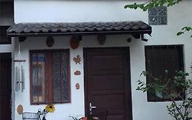Il Giardino Dei Merli